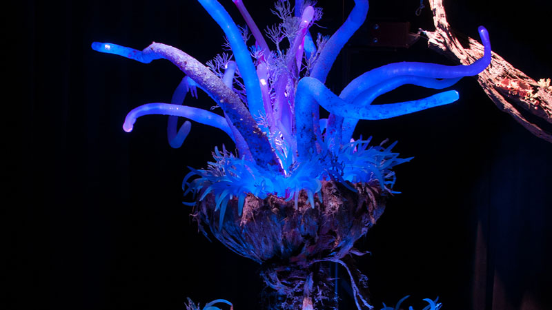 Pandora: World of Avatar theme park Disney Florida Orlando