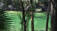 Blue Spring State Park Florida