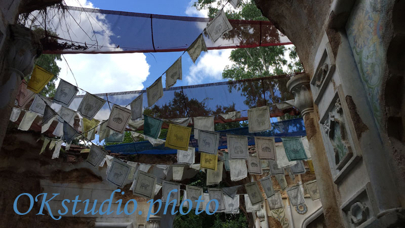 Disney`s Animal Kingdom park Orlando Florida