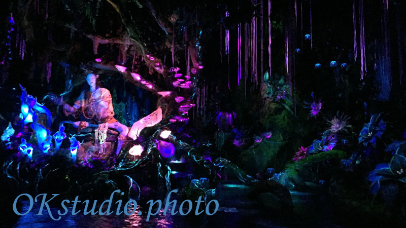 Disney`s Animal Kingdom park Orlando Florida