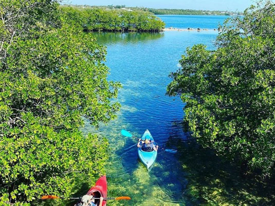 John Pennekamp Coral Reef State Park. Foto 3